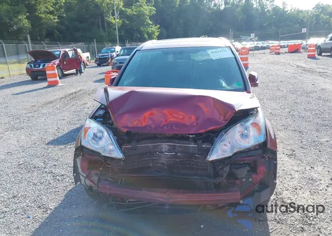 2009 Honda Cr-V Exl from USA, damaged, VIN 5J6RE48779L051423